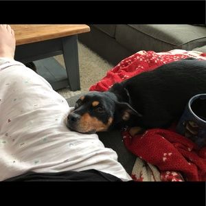 Meet your Posher, Tracey